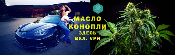 ГАЛЛЮЦИНОГЕННЫЕ ГРИБЫ Гусь-Хрустальный