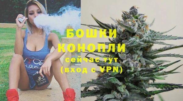 Альфа ПВП Строитель