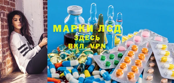 Альфа ПВП Гусев