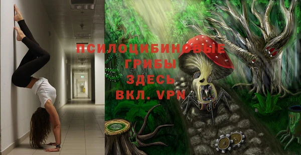 гашик Вязники