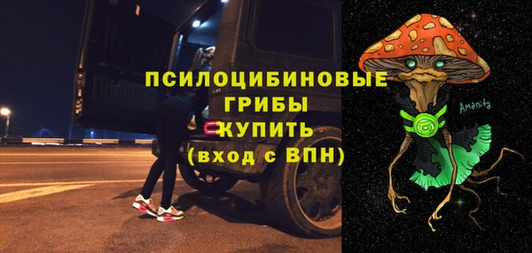 скорость Вяземский
