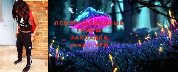 ГАЛЛЮЦИНОГЕННЫЕ ГРИБЫ Гусь-Хрустальный