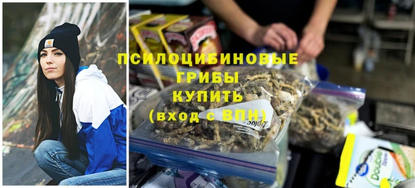 Альфа ПВП Вязьма