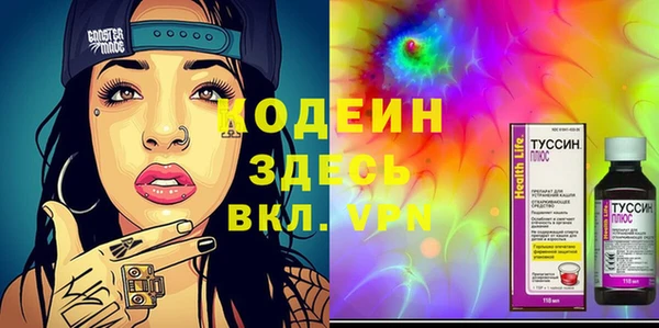 скорость Вяземский