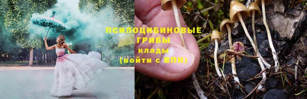 ешки Струнино