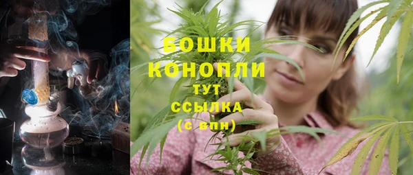 дурь Гусиноозёрск