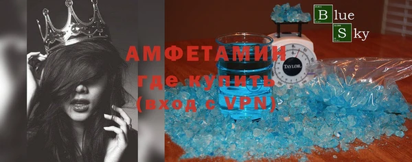 ГАЛЛЮЦИНОГЕННЫЕ ГРИБЫ Гусь-Хрустальный