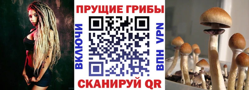 Псилоцибиновые грибы Magic Shrooms  Гусь-Хрустальный 